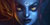 Evelynn